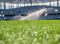 首位,诗坛巨星,归来,南宫28NG娱乐,南宫28NG娱乐官网,南宫28NG娱乐官网玩家首选